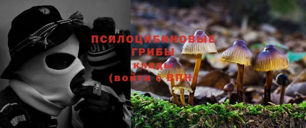 альфа пвп Нязепетровск