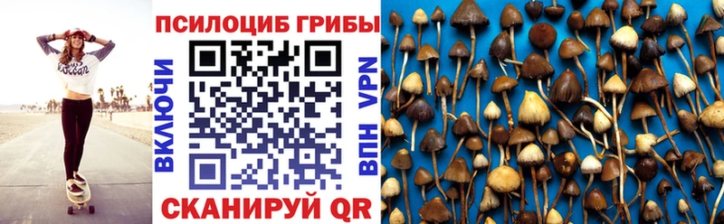 Псилоцибиновые грибы Cubensis  МЕГА   Новотроицк 